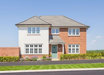 Shaftesbury - 74348
