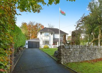 Thumbnail 6 bed detached house for sale in Pontpren, Penderyn, Aberdare