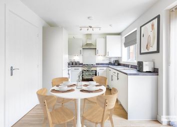 Kitchen / Dining Area
