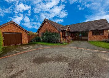 Thumbnail Bungalow for sale in Raikes Lane, Sychdyn, Mold, Flintshire