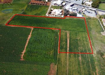 Thumbnail Land for sale in Gg4686 Land, Frenaros, Famagusta, Cyprus