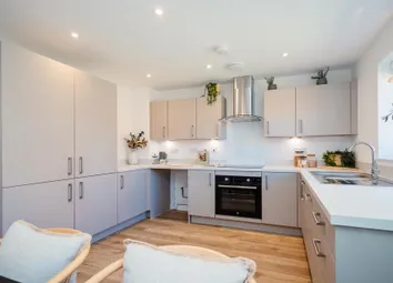 Dandara - Zoopla -