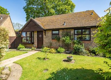 Thumbnail Detached bungalow for sale in The Grange, Chobham, Woking