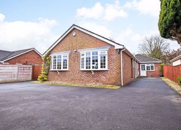 Thumbnail 4 bedroom bungalow for sale in Blandford Road, Wimborne