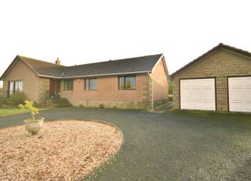 Dalkeith Road - Bungalow to rent                     ...