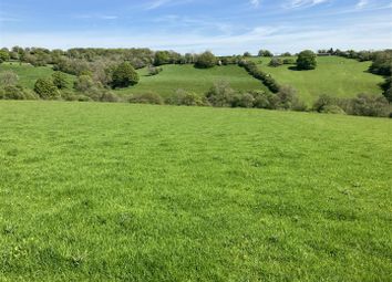 Thumbnail Land for sale in Longtown, Hereford