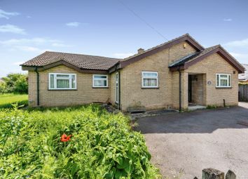 Thumbnail Bungalow for sale in Cotton End Road, Wilstead, Bedford