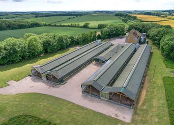 Thumbnail Light industrial to let in Building B, Dorset Business Park, Winterbourne Whitechurch, Blandford Forum