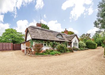 Thumbnail Detached house for sale in Upper Ifold, Dunsfold