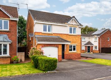 Thumbnail 3 bed detached house for sale in Glentye Drive, Tullibody