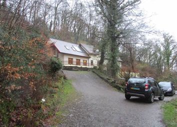 Newcastle Emlyn - 4 bed detached house for sale