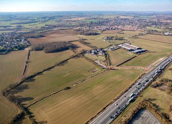 Thumbnail Land for sale in Forest Hall Road, Stansted
