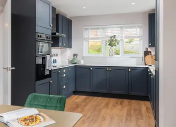 Dogwood Kitchen