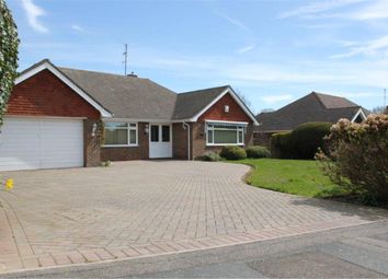 2 Bedroom Detached bungalow for rent