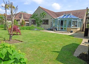 Thumbnail Detached bungalow for sale in Dinhay, Marnhull, Sturminster Newton