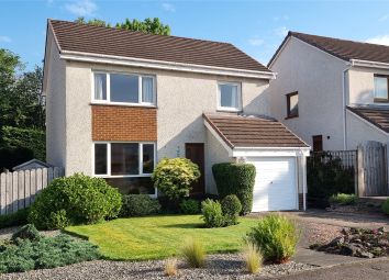 Thumbnail Detached house for sale in Coney Park, Stirling
