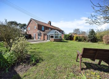 Thumbnail 4 bedroom semi-detached house for sale in Roudham, Norwich