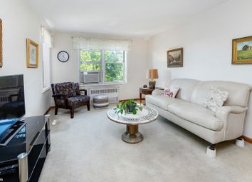 Thumbnail 1 bed apartment for sale in Netherland Avenue 4H In Riverdale, Riverdale, New York, United States Of America