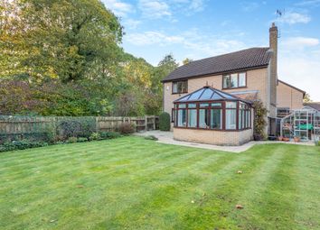 Thumbnail Detached house for sale in Haywardsfield, Longthorpe, Peterborough