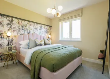 Showhome Photography