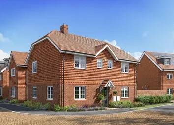 The Marlborough CGI