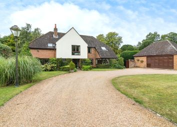 Thumbnail Detached house for sale in Brooke Gardens, Brooke, Norwich