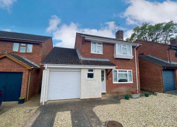 Thumbnail Detached house to rent in Bluebell Avenue, Tiverton