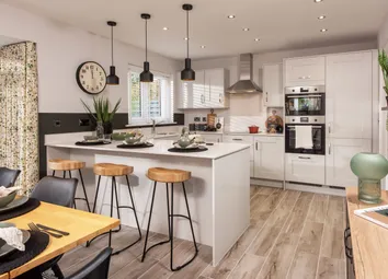 Showhome Photography