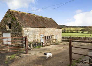 Thumbnail Land for sale in Pilsdon, Bridport, Dorset