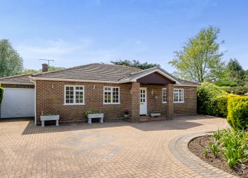Thumbnail 3 bed bungalow for sale in Church Close, Laleham