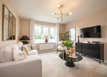 Showhome Photography