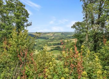 Thumbnail Detached bungalow for sale in Forest Park, Kingford, High Bickington