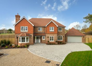 Thumbnail 5 bed detached house to rent in Okeford Drive, Tring