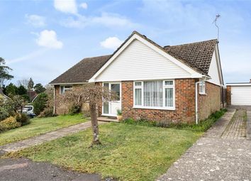 Thumbnail Detached bungalow for sale in Woodside Close, Storrington, West Sussex