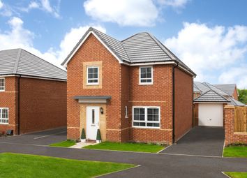 Thumbnail 4 bedroom detached house for sale in "Kingsley Special" at Park Farm Way, Wellingborough