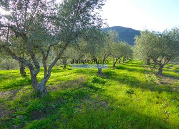 Thumbnail Farm for sale in 1.580.000m2, Vineyard, Olive Grove, Almond Grove, Houses, Portugal
