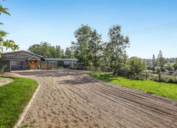 Thumbnail Detached bungalow for sale in Drove Lane, Old Alresford, Alresford