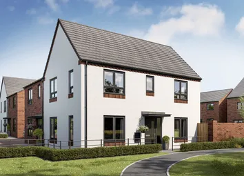 An Artist's Impression Of The Aynesdale