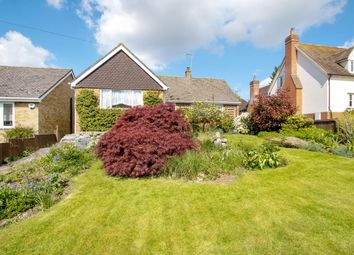 Thumbnail Bungalow for sale in Colne Park Road, White Colne, Colchester