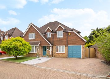 Thumbnail Detached house for sale in Wellhurst Close, Green St Green, Orpington