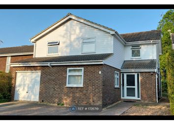 Thumbnail Detached house to rent in Sarum, Bracknell