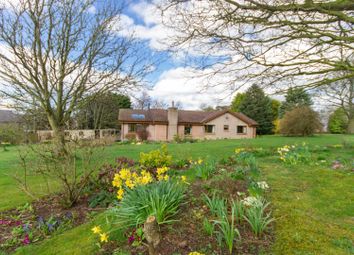 Thumbnail Detached bungalow for sale in West Drive, Berwick-Upon-Tweed