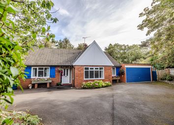 5Therise-Darrashall-Ne209Lj-60
