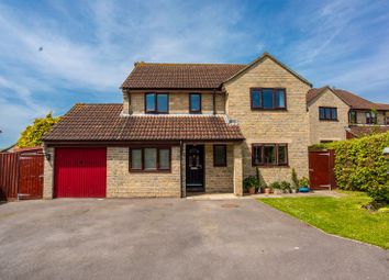 Thumbnail Detached house for sale in Blackdown View, Curry Rivel, Langport