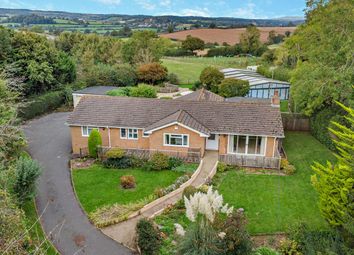 Thumbnail 4 bed equestrian property for sale in Ladram Road, Otterton, Budleigh Salterton, Devon