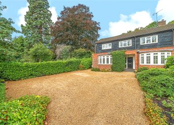 Thumbnail Semi-detached house to rent in Brox Road, Ottershaw, Chertsey