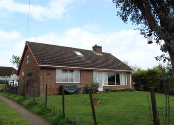 Thumbnail Bungalow for sale in Mill Lane, Alfington, Ottery St. Mary