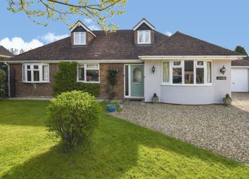 Thumbnail 5 bed detached bungalow for sale in Fir Tree Road, Cadnam, Southampton