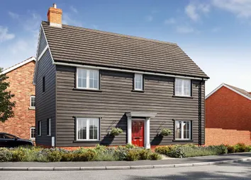 Dandara - Zoopla -
