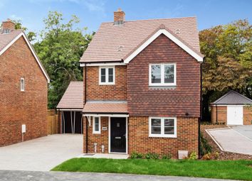 Thumbnail 3 bedroom detached house for sale in The Willows, Horam, Heathfield